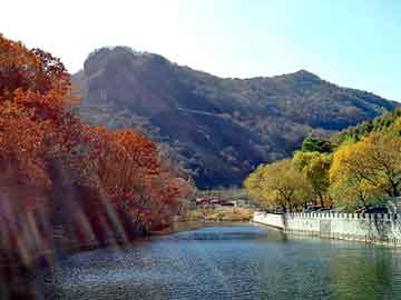 澳门最准的资料免费公开，水晶梨产地